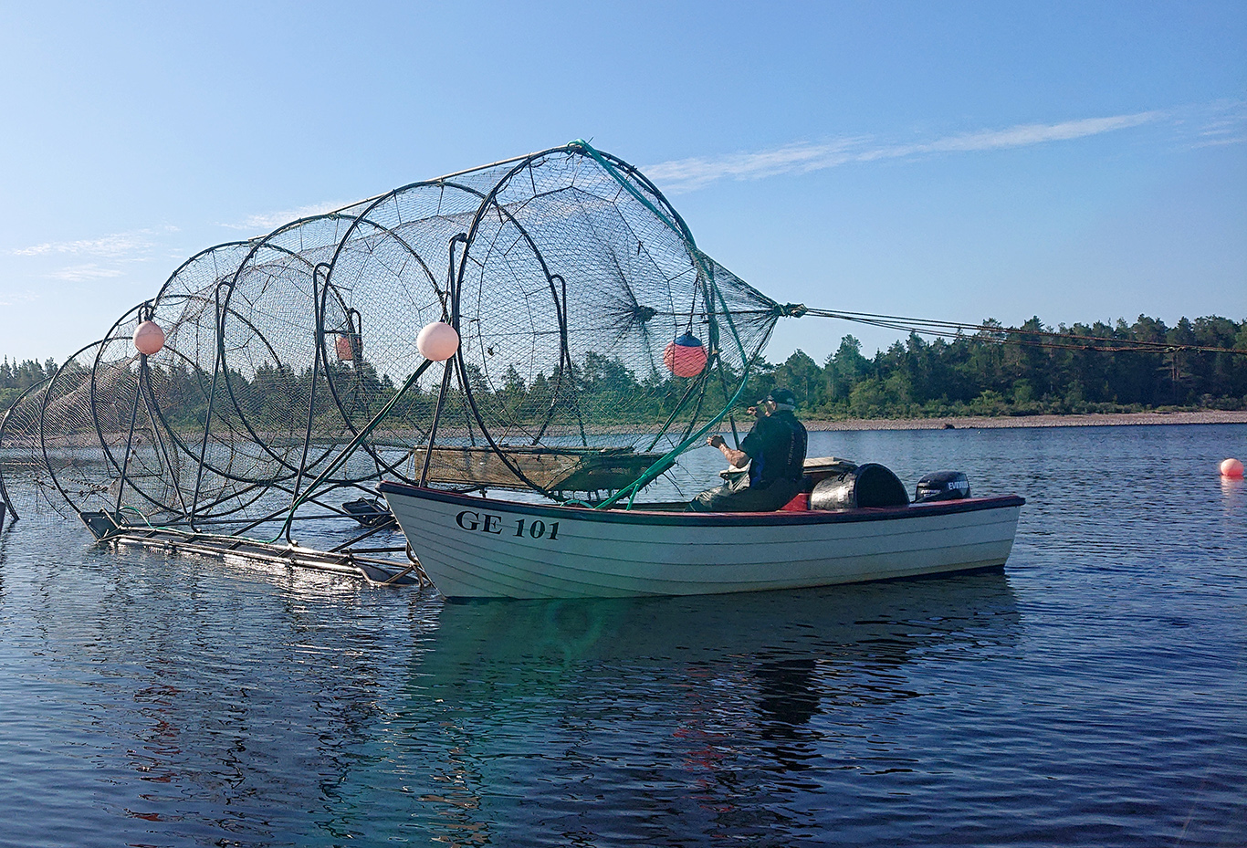 Man i båt vittjar en pushup-fälla (pontonfälla)