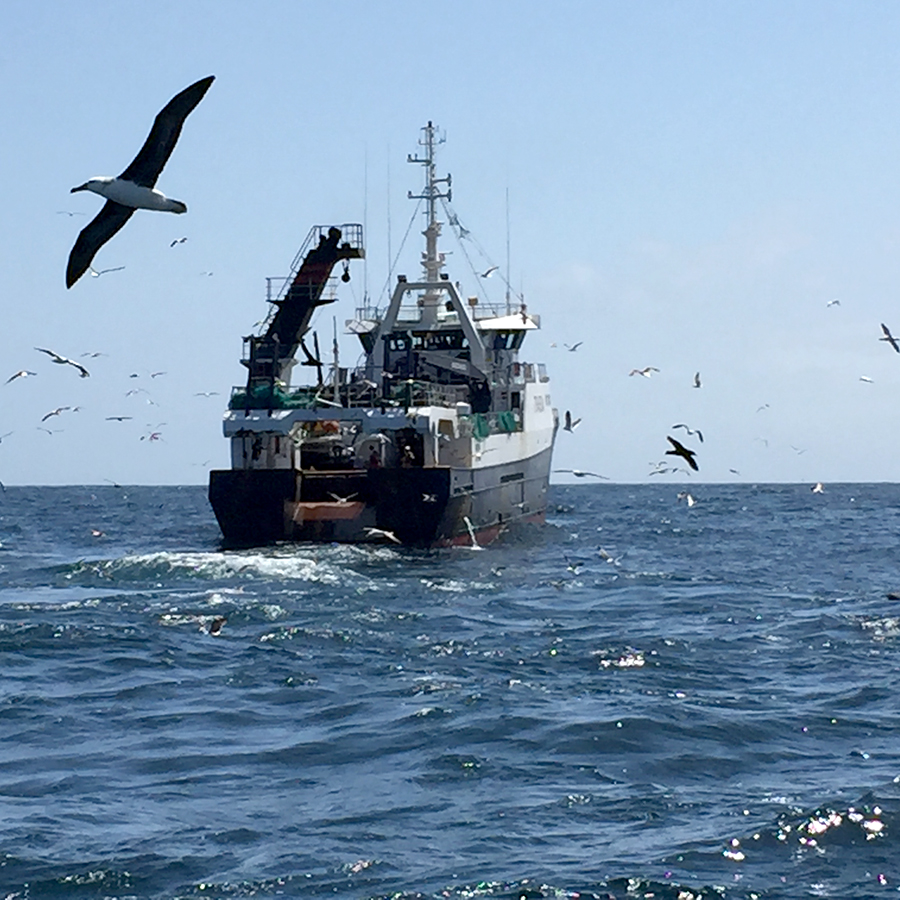 Fiskebåt till havs omgiven av havsfåglar