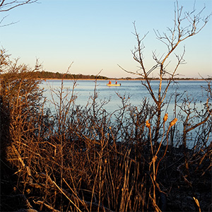 Provfiske i Biotestsjön.