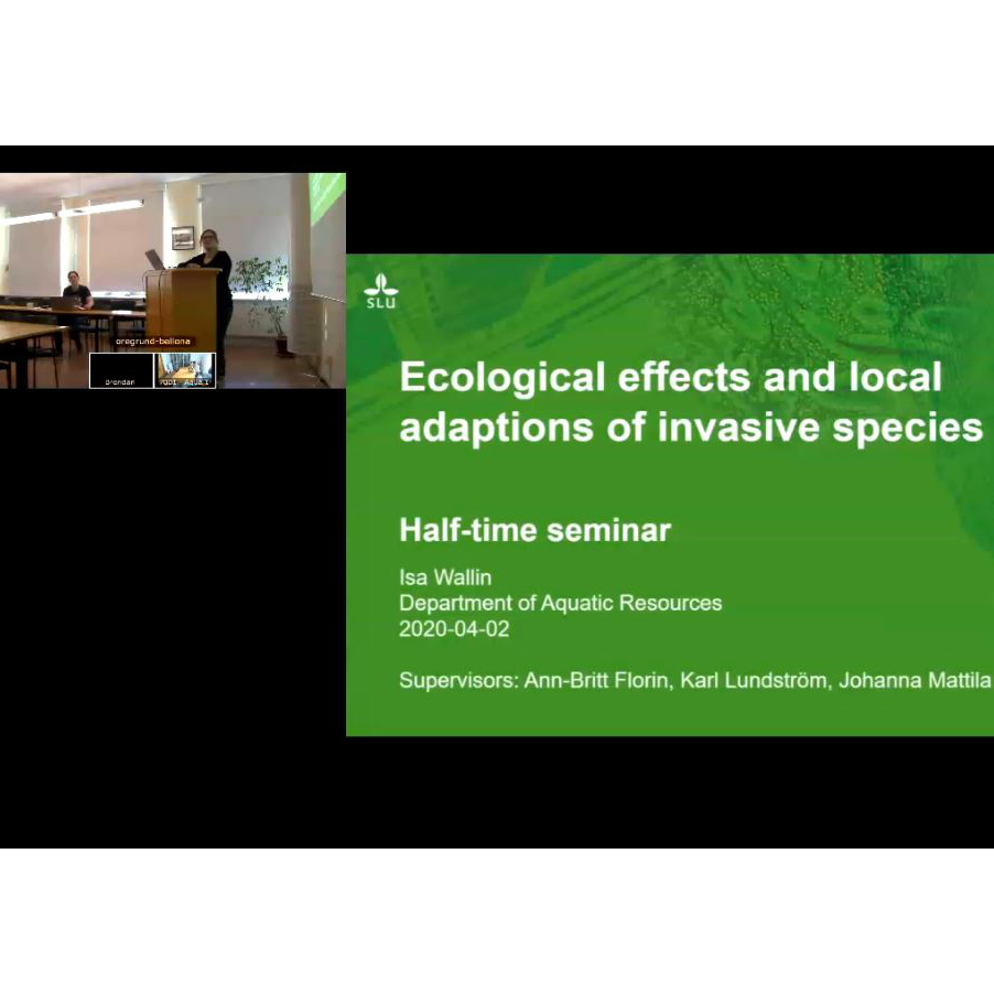 Isa Wallin presenterar sitt doktorandprojekt