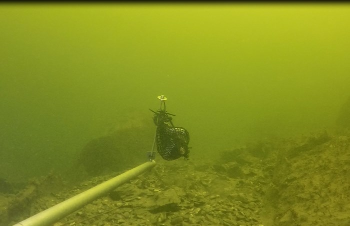 Undervattenbild på stenig botten