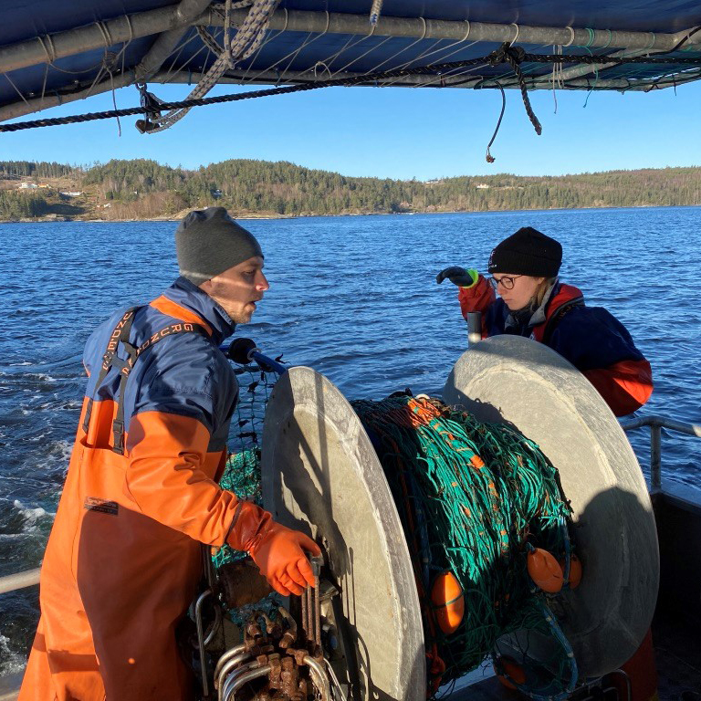 Trål halas upp bakom båt