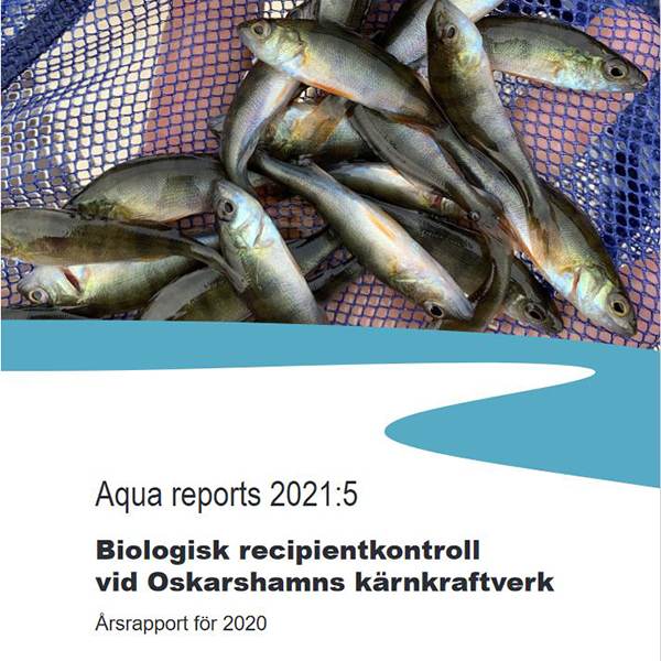 Rapportframsida med bild av abborrar