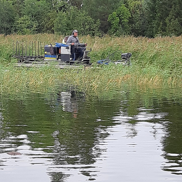 Vassröjningsmasin kör längs strandkanten