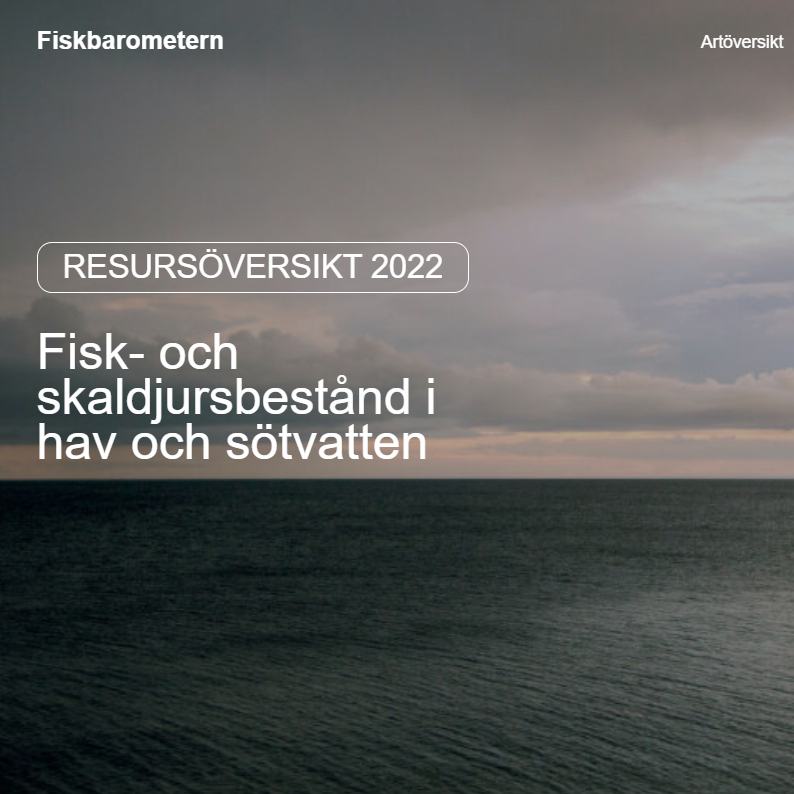 hav, himmel och moln