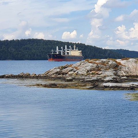 Fraktfartyg passerar kala klippor 