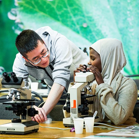Child and researcher by the microscope.