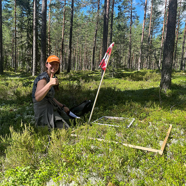 Person studerar växter i en ruta i skogen.