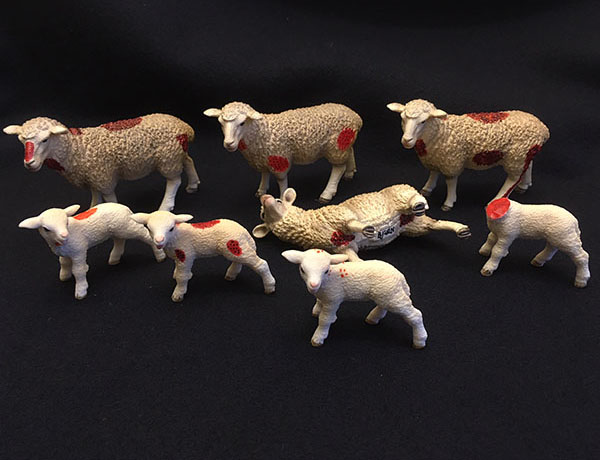 Leksakslamm med röda markeringar tex på ryggen eller benen.