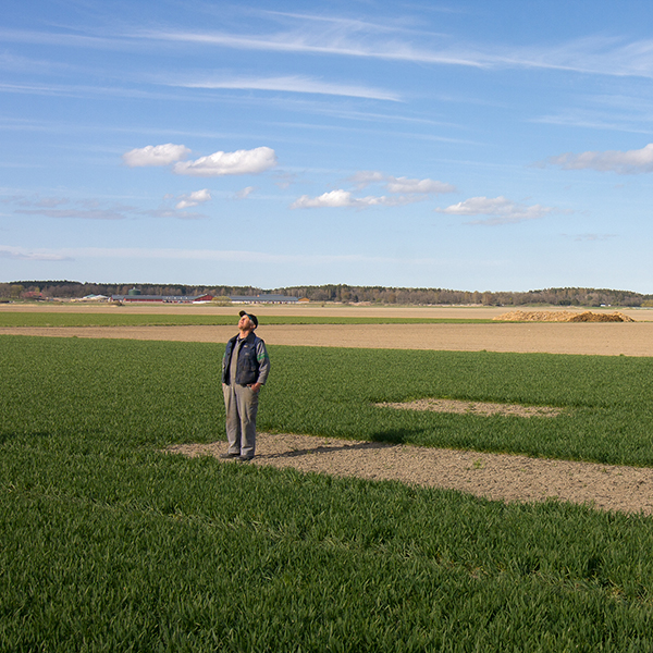 Man står och spanar i ruta på åker.