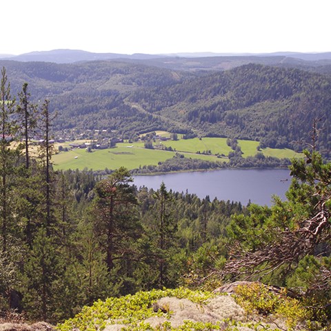 Utsikt över sjö.