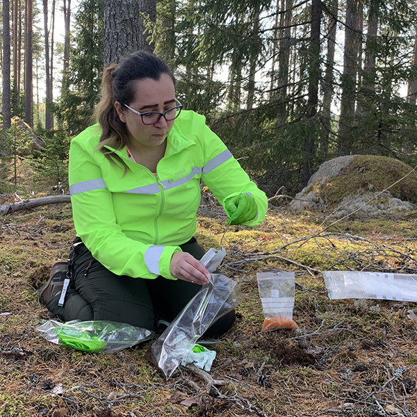 Kvinna tar jordprov.