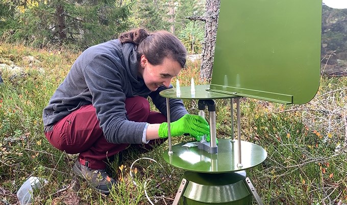 Woman working in the forest.