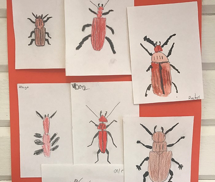 Barnteckningar på röda skalbaggar.