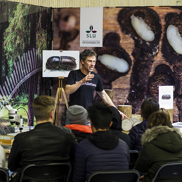 Forskare berättar om insekter för intresserad publik.