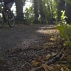 En stig i skogen med en cyklister som går förbi, gröna trä som backgrund och gula löv på marken.