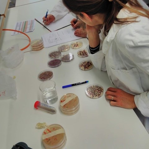 Studenter i ett laboratorie som analyserar hygien i avfallsbehandlingsreaktorer