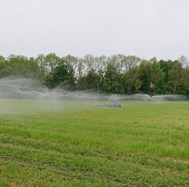 Ett bevattningsförsök i vall.