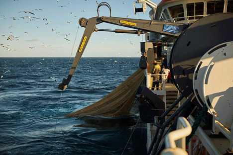 Foto: En stor fiskebåt drar upp ett stort nät.