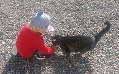 Foto: Barn klappar en katt