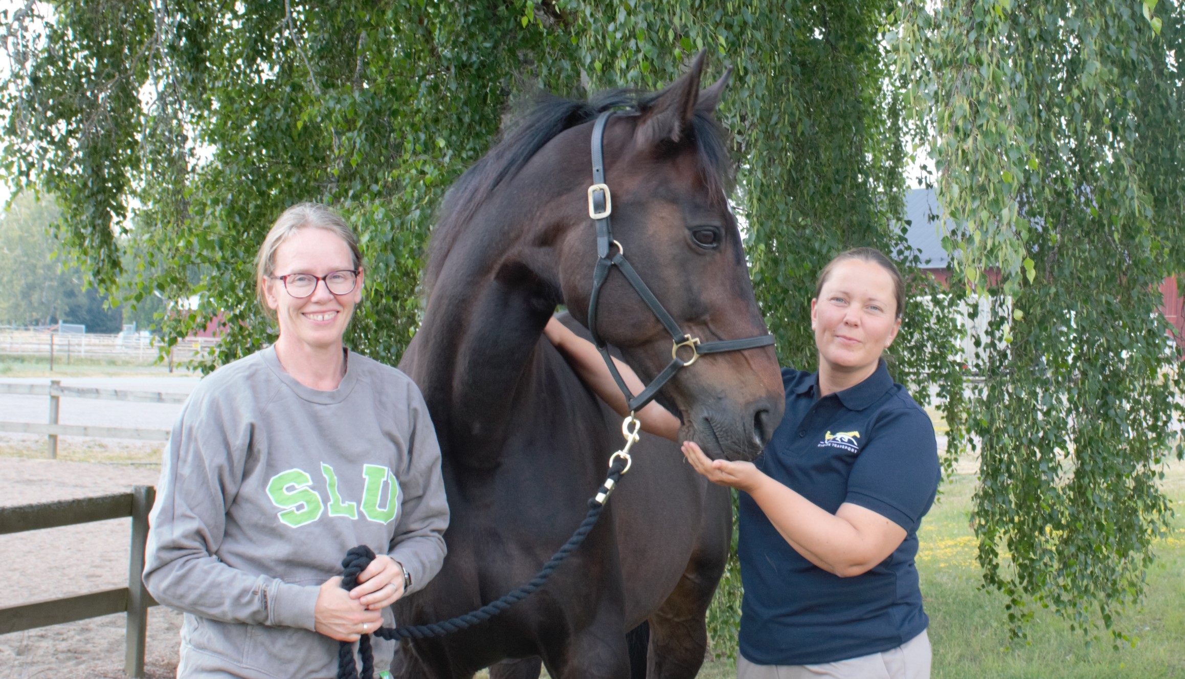 Jenny Yngvesson och Agneta Sandberg tillsammans med en brun häst