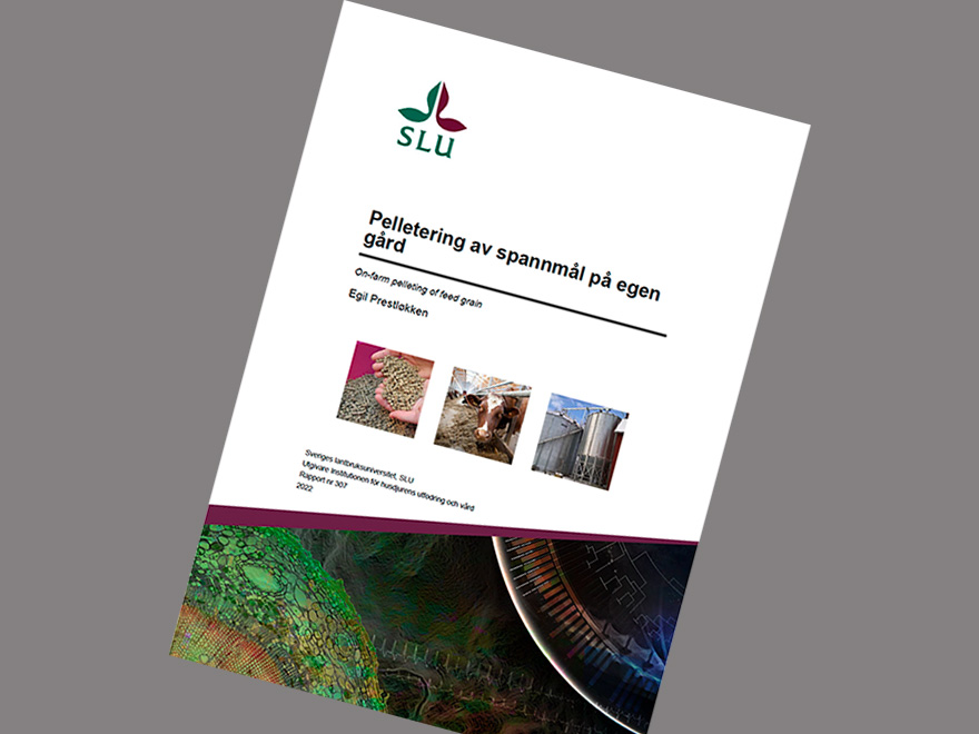 Översiktsbild på framsidan av rapport 307.