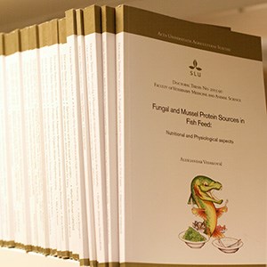 Doctoral theses in a shelf. Photo.