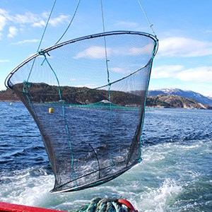 Fisketrål på en båt i förgrunden och norsk fjord i bakgrunden. Foto. 