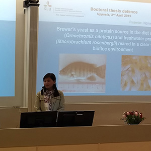 Nguyen Huu Yen Nhi vid talarstolen på disputationsdagen. Foto. 