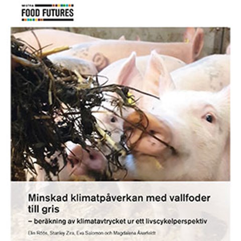 Bild av rapportens framsida med grisar som äter vallfoder ur en foderhäck. 