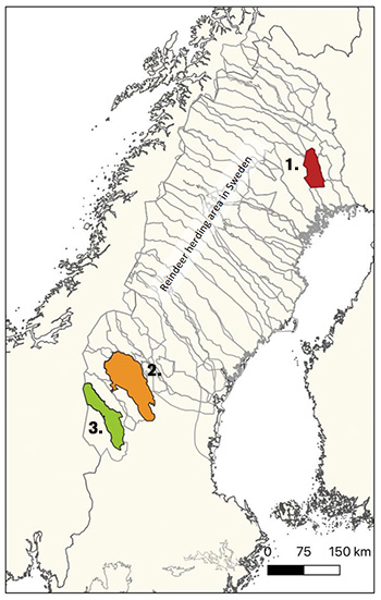 Sverigekarta med tre markerade renbetesområden i olika färger. Bild.