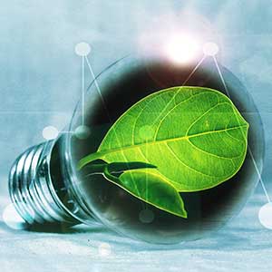 Glödlampa med grönt löv inuti