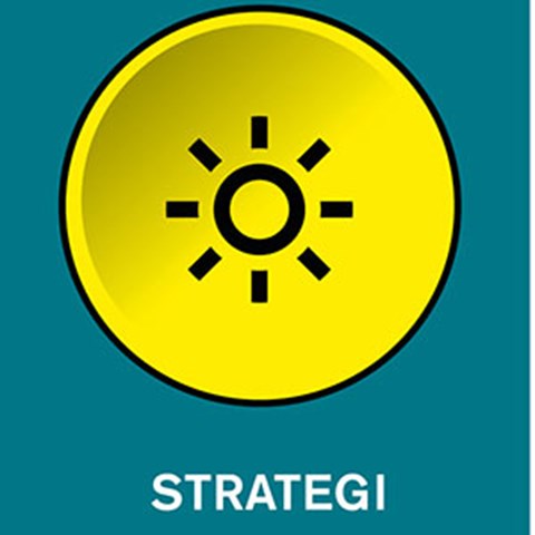 Strategi