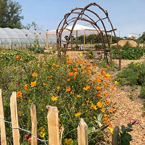 Blommande trädgård