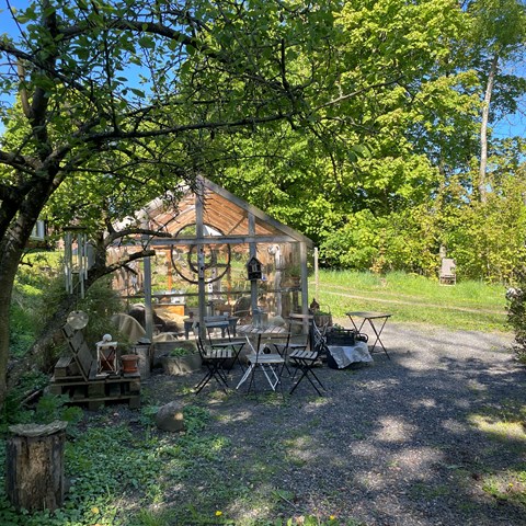 Ett växthus i en dunge