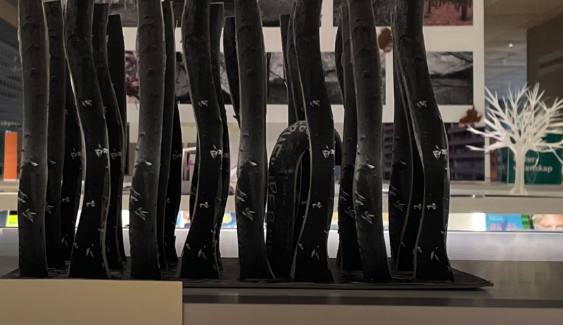 Student project 2024