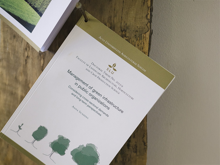 Anna Sundings spikade avhandling