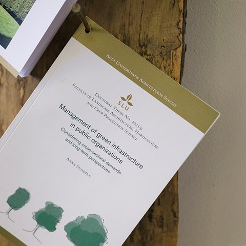 Anna Sundings spikade avhandling