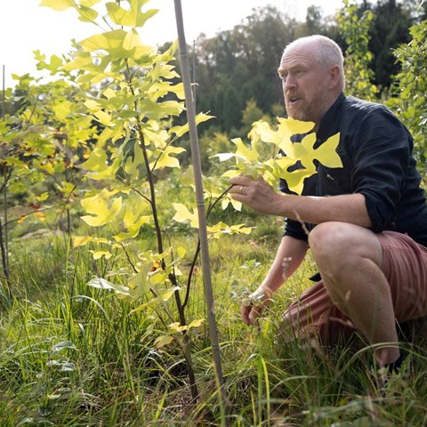 Foto: Björn Larsson Rosvall, SvD