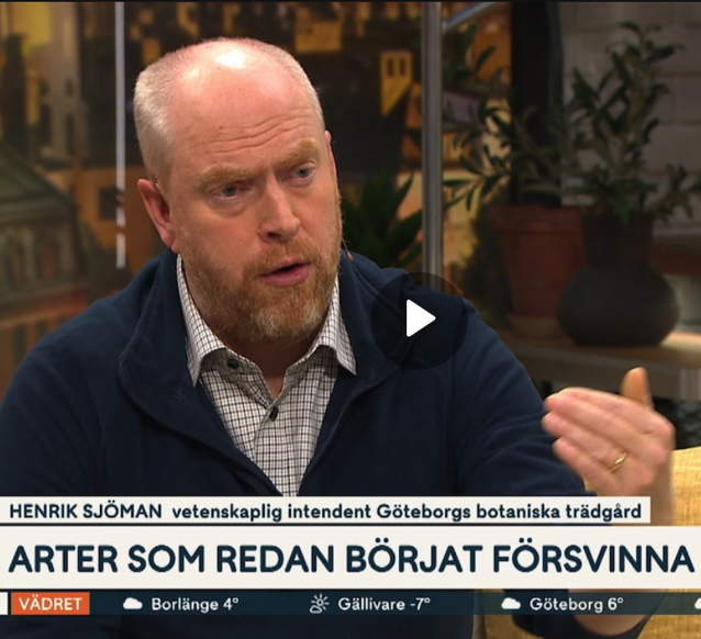 Henrik Sjöman i TV4