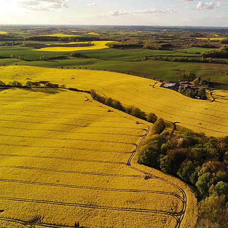 drone image over field