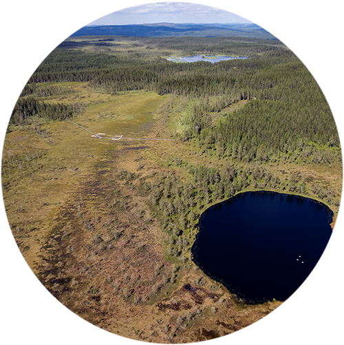 flygfoto över skog och vatten