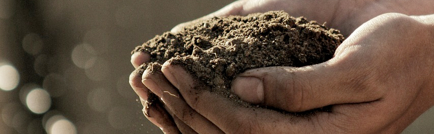 A hand holding soil, photo.