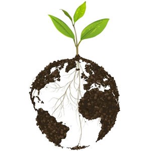 A plant where the roots looks like planet Earth, photo.