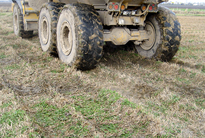 Tractor tires on an agricultural field. Photo.
