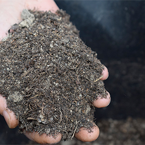 Jord från bokashikompost. Foto.