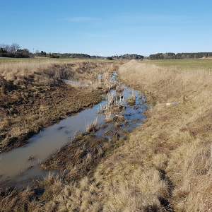 Ett dike i jordbruksmark, foto.