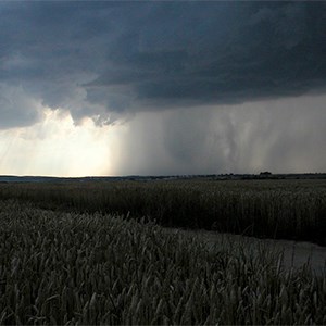 Regn över ett jordbruksfält. Foto.