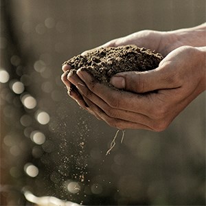 Cupped hands holding soil against brown background. Photo. 