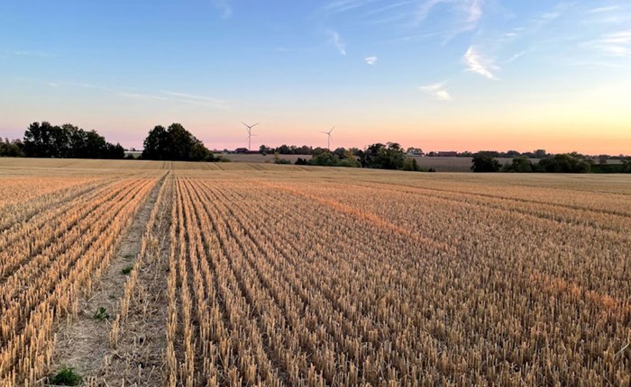 Sunrise over a field with harvested cereals. Trees and three wind turbines can be seen on the horizon. Photo. 